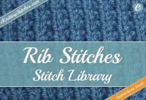 Photo example of a rib stitch - links to rib stitch collection.