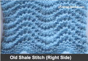 Old Shale Stitch Example (Right Side)