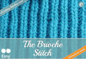 Brioche stitch example & Title Slide for "How to Knit the Brioche Stitch"