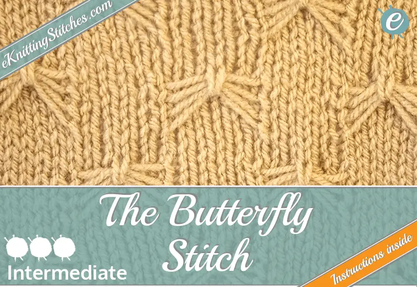 Butterfly Stitch example & Title Slide for 