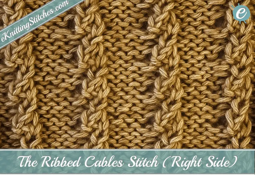Ribbed Cables Stitch Example (Right Side)