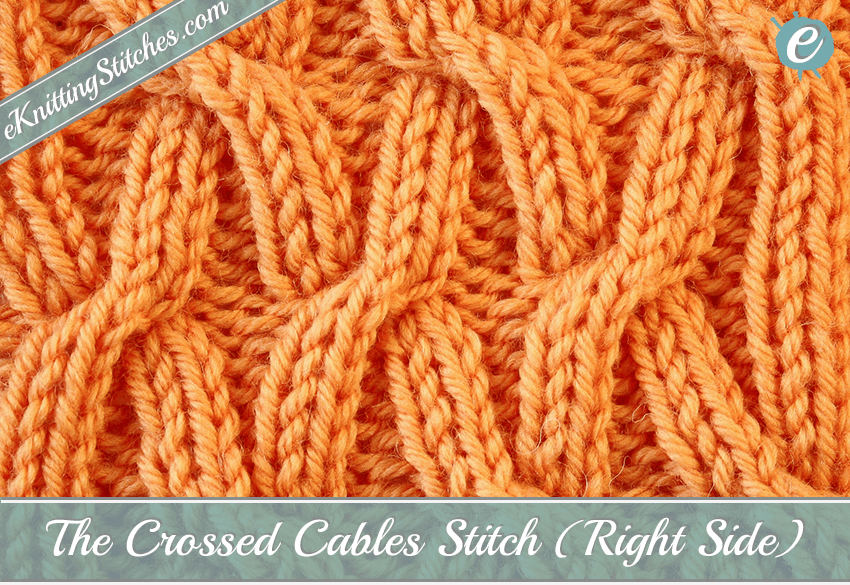 Crossed Cables Stitch Example (Right Side)