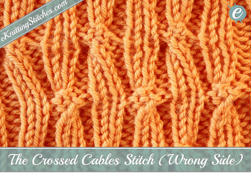 Crossed Cables Stitch Example (Wrong Side)