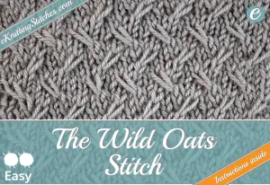 Wild Oats Stitch example & Title for "How to Knit the Wild Oats Stitch"