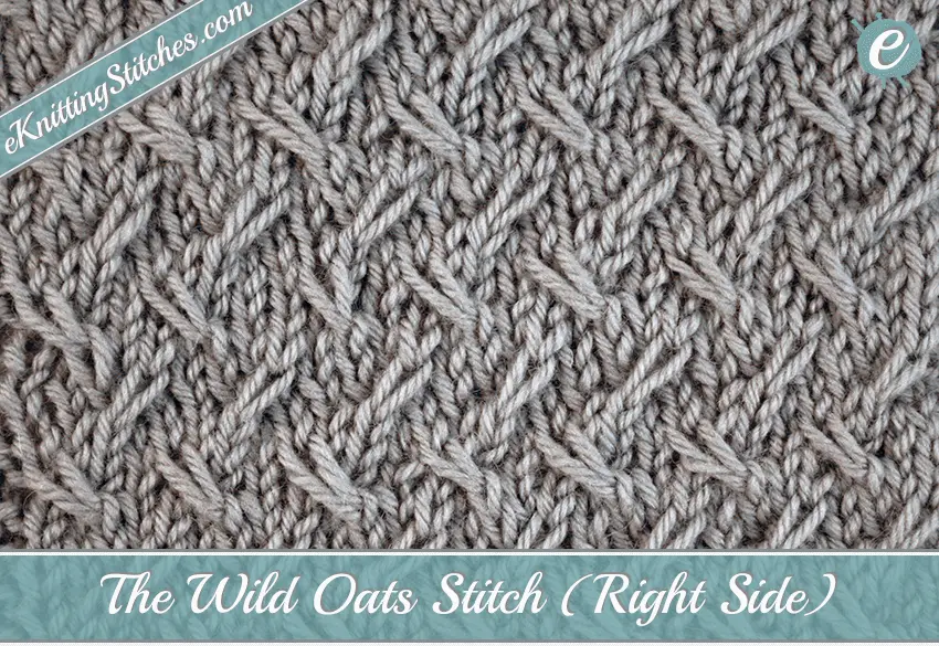 Wild Oats Stitch Example (Right Side)