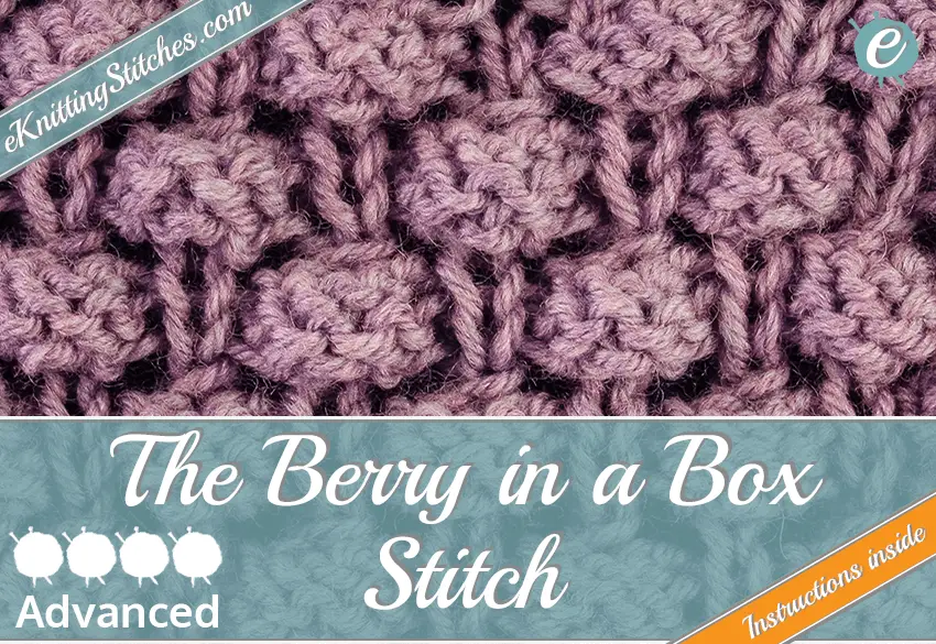 Berry in a Box Stitch example & Title for "How to Knit the Berry in a Box Stitch"