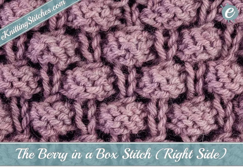 Berry in a Box Stitch Example (Right Side)