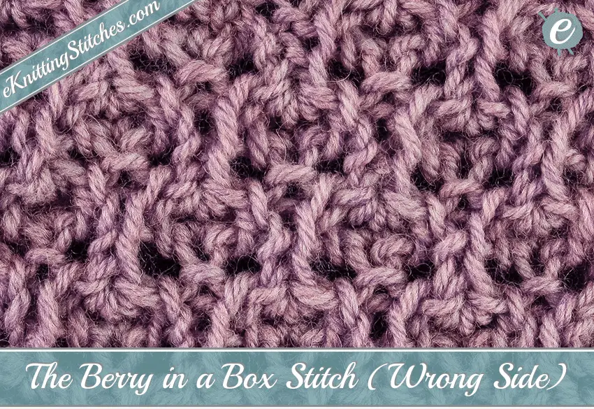 Berry in a Box Stitch Example (Wrong Side)