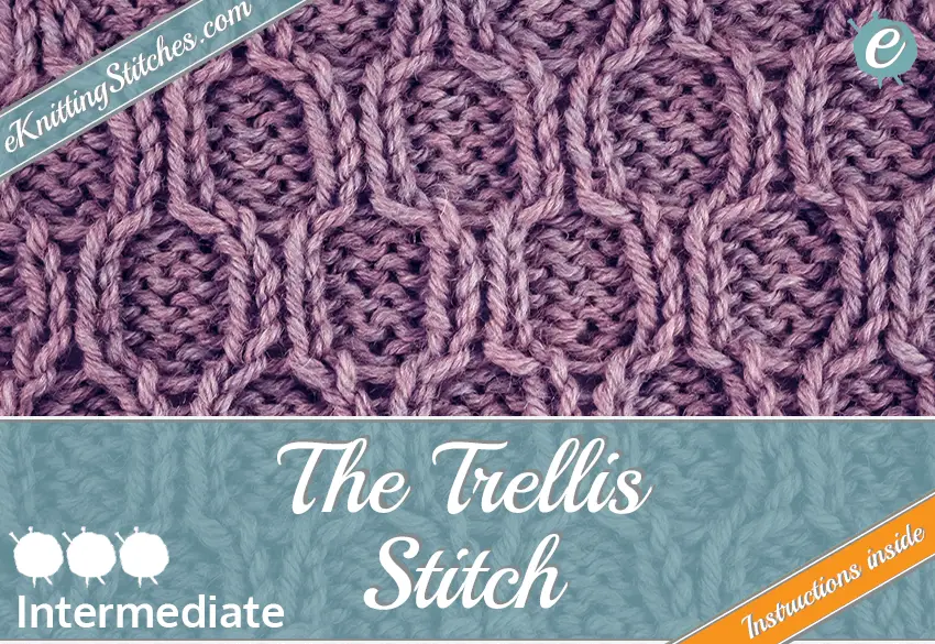 Trellis stitch example & Title Slide for "How to Knit the Trellis Stitch"