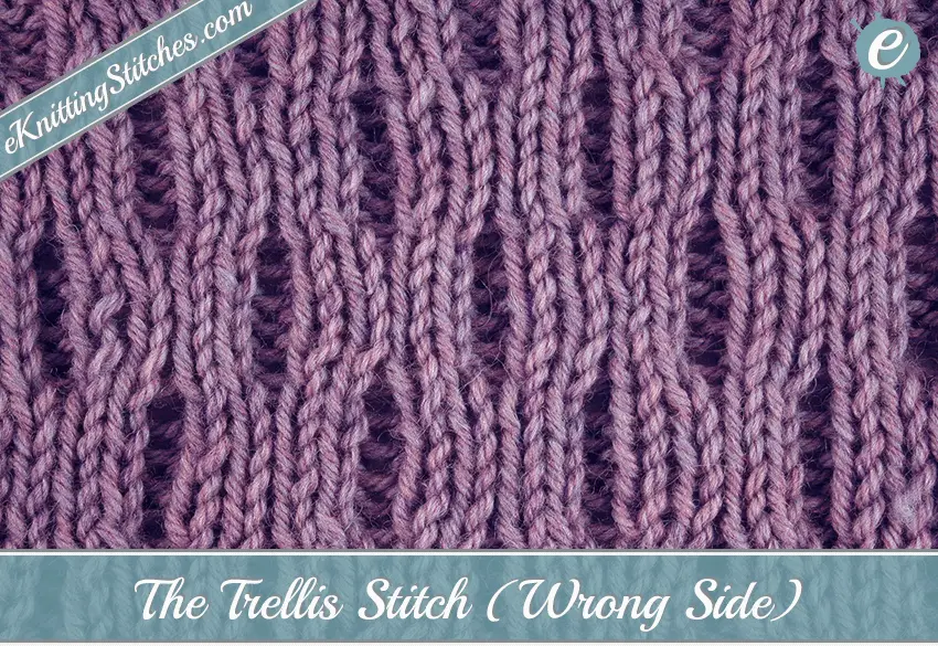 Trellis Stitch Example (Wrong Side)