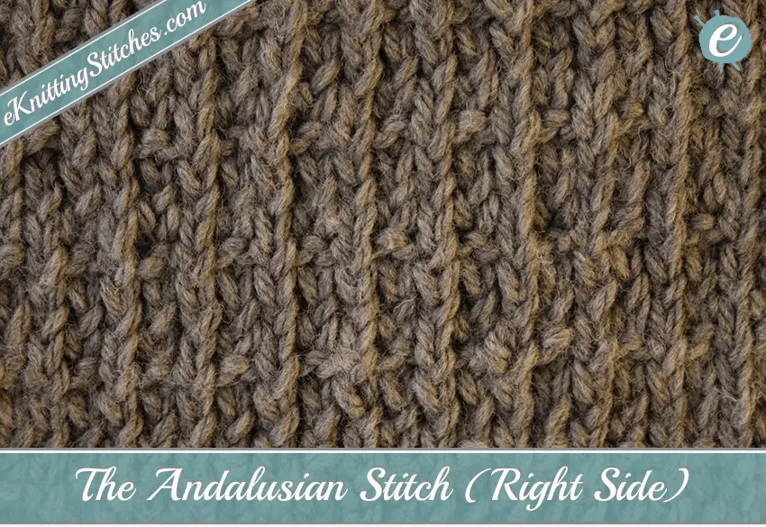 Andalusian Stitch Example (Right Side)