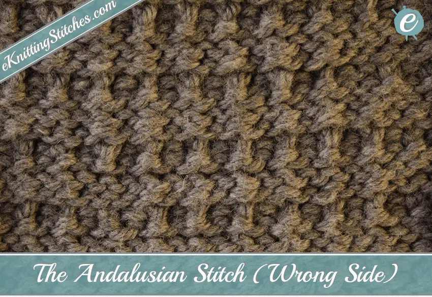 Andalusian Stitch Example (Wrong Side)