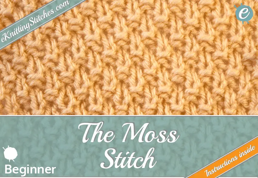 Moss stitch example & Title Slide for "How to Knit the Moss Stitch"