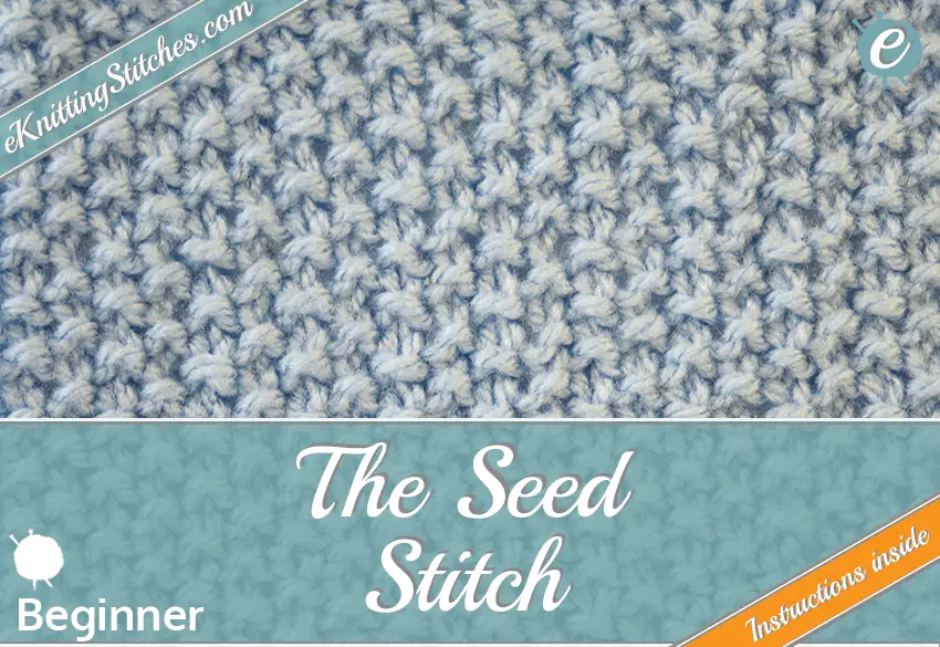 Seed stitch example & Title Slide for "How to Knit the Seed Stitch"