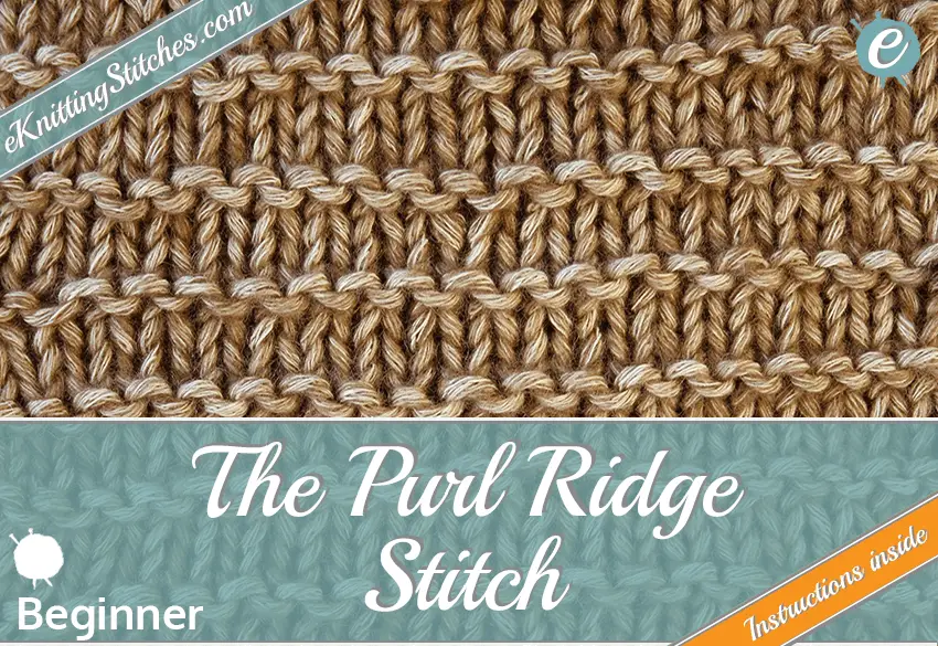 Purl Ridge stitch example & Title Slide for "How to Knit the Purl Ridge Stitch"