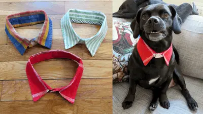 collars in different colors