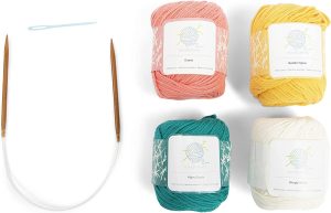 beginners knitting kit