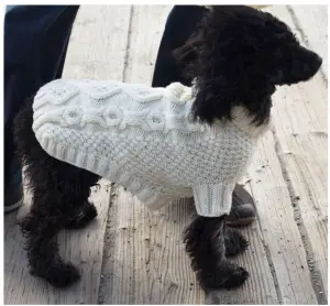 bones knit dog sweater