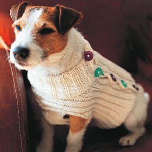 button knit dog sweater
