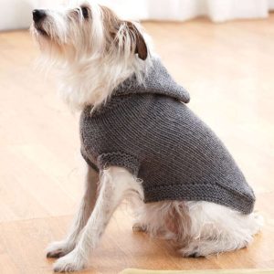 hooded knit dog sweater