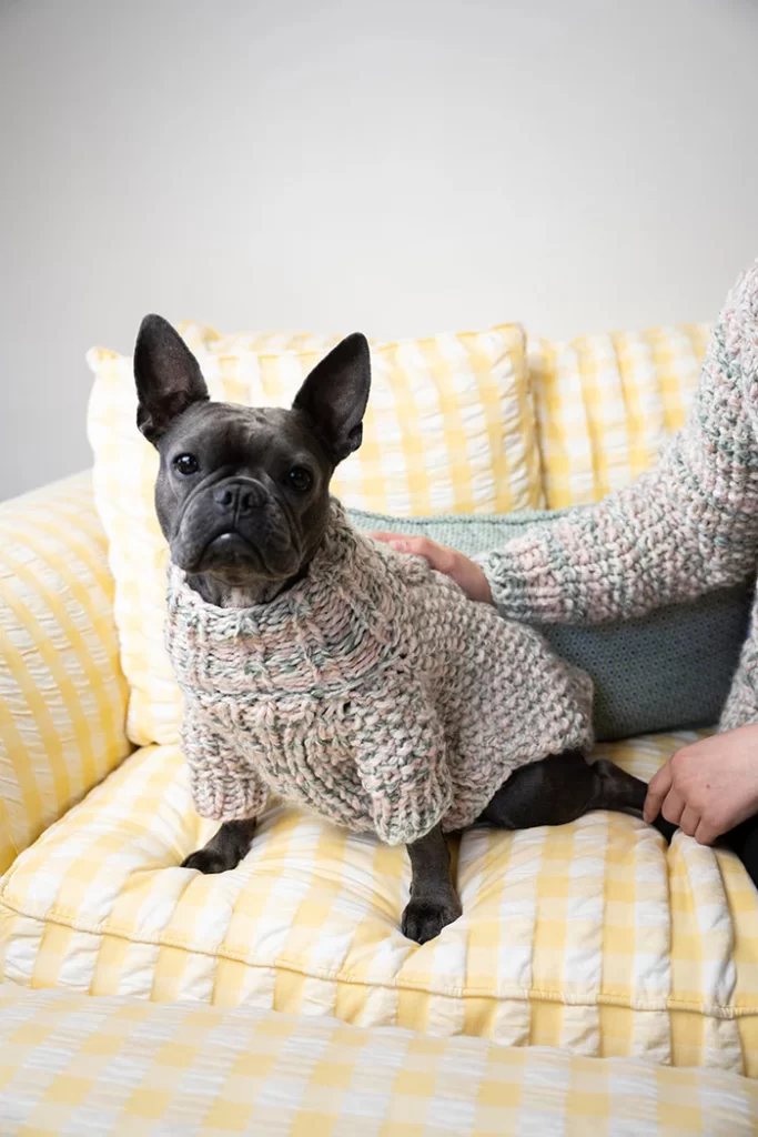 knit dog sweater