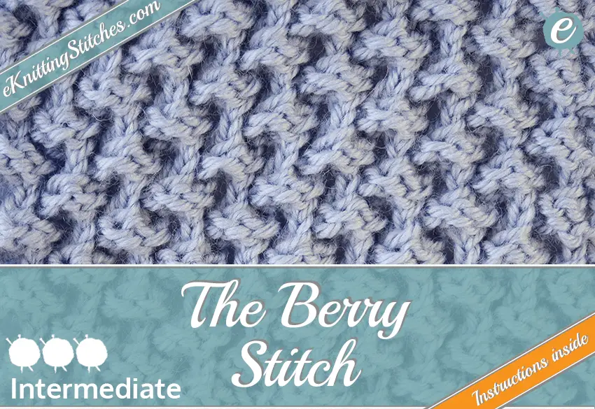 sample swatch of berry stitch
